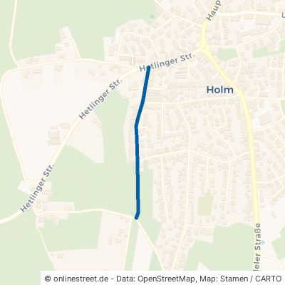 Hauenweg Holm 