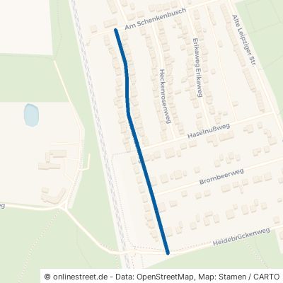 Holunderweg Dessau-Roßlau Haideburg 