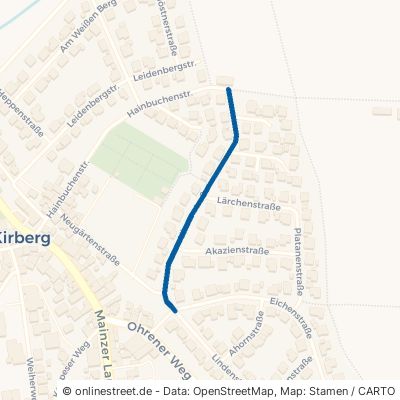 Ulmenstraße Hünfelden Kirberg 