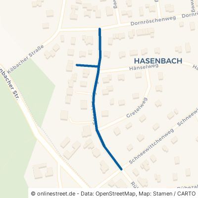Froschkönigweg 53819 Neunkirchen-Seelscheid Hasenbach 