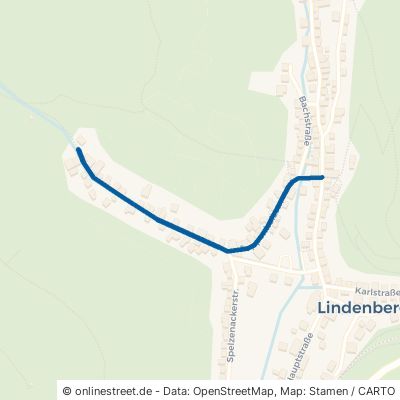 Joppenholzstraße 67473 Lindenberg 