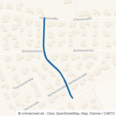 Tulpenstraße 88433 Schemmerhofen 