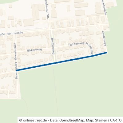 Tannenweg 63674 Altenstadt Waldsiedlung Waldsiedlung