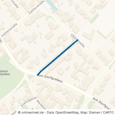 Pfarrer-Doktor-Kurthen-Straße 53881 Euskirchen Weidesheim 