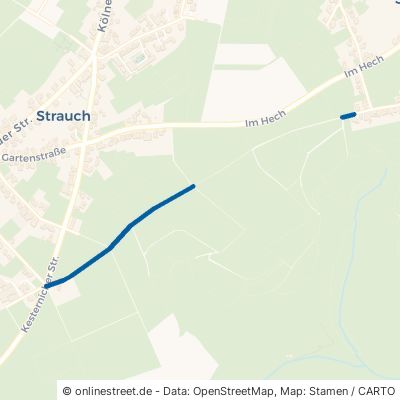 Leichenweg 52152 Simmerath Strauch