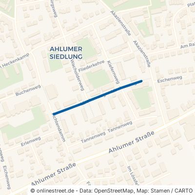 Lärchenweg 38302 Wolfenbüttel Stadtgebiet 