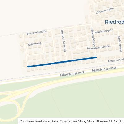Zum Schlinkenwinkel 68642 Bürstadt Riedrode 