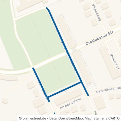 Dahlienplatz 38368 Mariental 