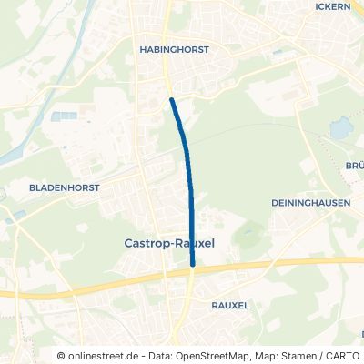 Habinghorster Straße 44579 Castrop-Rauxel Rauxel 