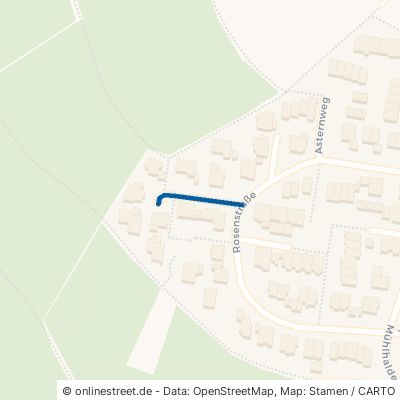 Veilchenweg Denkendorf 