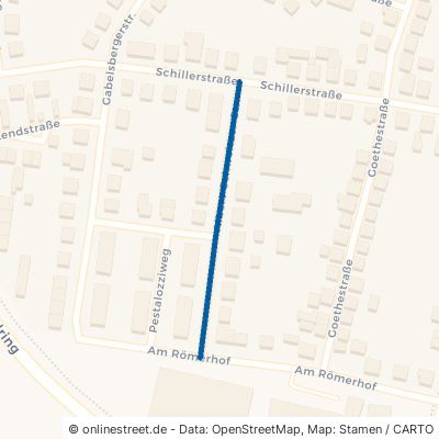 Albert-Schweitzer-Straße Groß-Gerau 