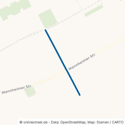 Römerstraße 68542 Heddesheim 