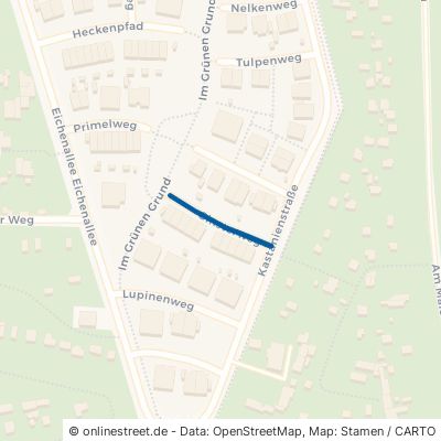 Ginsterweg 63075 Offenbach am Main Mühlheimer Straße 