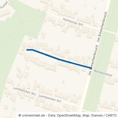 Dülmener Straße Gelsenkirchen Resser-Mark 