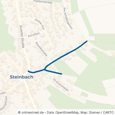Ruckertstraße Ottweiler Steinbach 