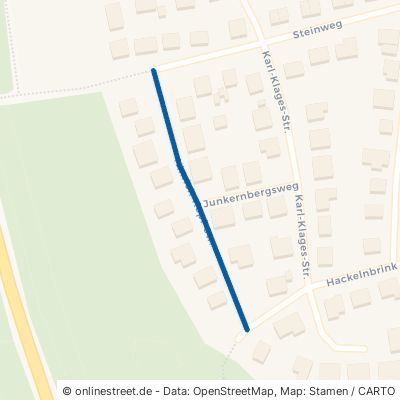 Hinrich-Kopf-Straße Langelsheim 