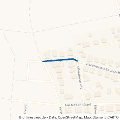 Rieslingstraße Stadecken-Elsheim Elsheim 