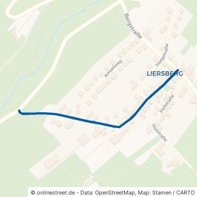 Mühlenstraße Igel Welschbillig 