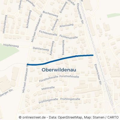 Wiesenstraße Luhe-Wildenau Oberwildenau 