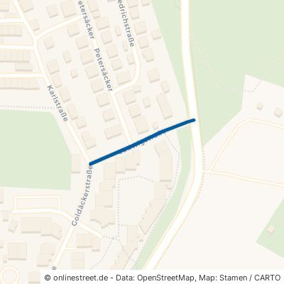 Ludwigstraße 71144 Steinenbronn 