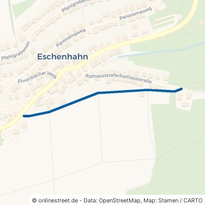 Borngartenweg 65510 Idstein Eschenhahn 