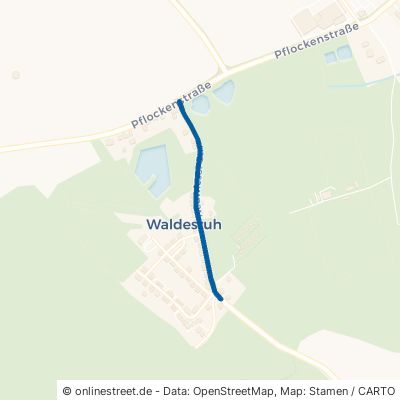 Neuwieser Straße 09376 Oelsnitz (Erzgebirge) Oelsnitz Waldesruh