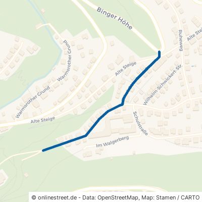 Michel-Obentraut-Straße 55442 Stromberg 