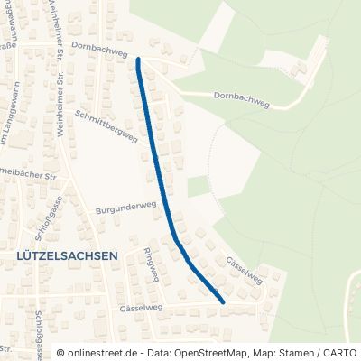 Panoramastraße Weinheim Lützelsachsen 