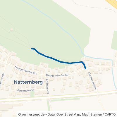 Schloßbergweg Deggendorf Natternberg 