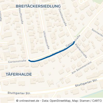 Max-Eyth-Straße 71554 Weissach im Tal Unterweissach Unterweissach