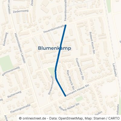 Otto-Hahn-Straße Wesel Blumenkamp 