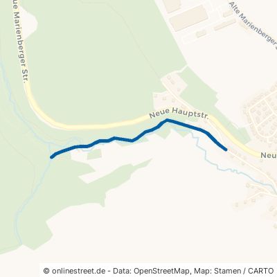 Mühlweg Großolbersdorf Hohndorf 