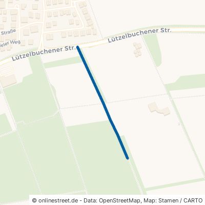 Grüne Wiese 63454 Hanau Mittelbuchen 