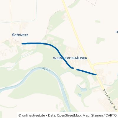 Alaunwerksweg Bad Düben 