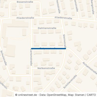 Tulpenstraße 72411 Bodelshausen 