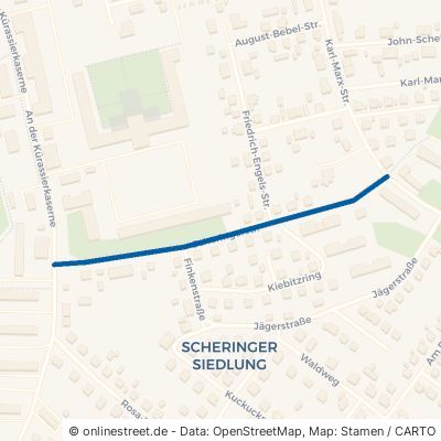 Scheringerstraße 17309 Pasewalk 