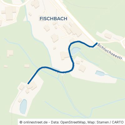 Talmattenweg Schluchsee Fischbach 
