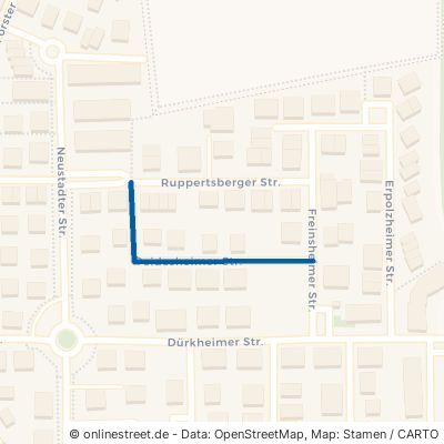 Deidesheimer Straße 67117 Limburgerhof 