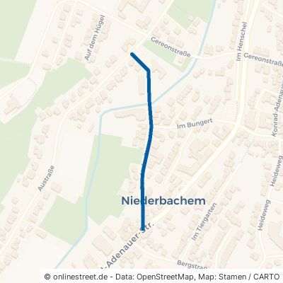 Bondorfer Straße 53343 Wachtberg Niederbachem 