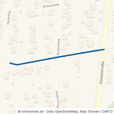 Ginsterweg Dannenberg Prisser 