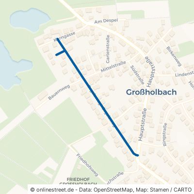 Orgelsweg Großholbach 