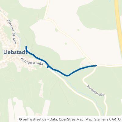 Am Schlossberg Liebstadt 