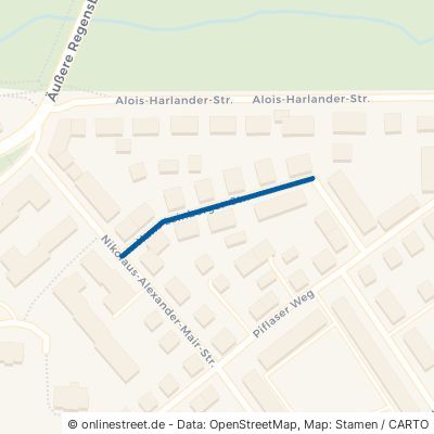 Hans-Leinberger-Straße 84034 Landshut Nikola Piflas