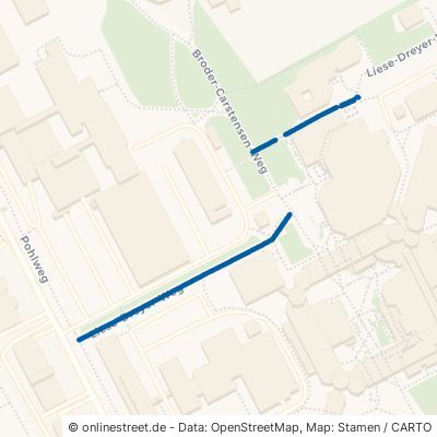 Liese-Dreyer-Weg Paderborn Südstadt 