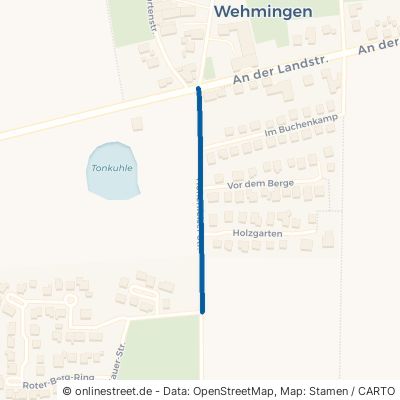 Hohenfelser Straße 31319 Sehnde Wehmingen 