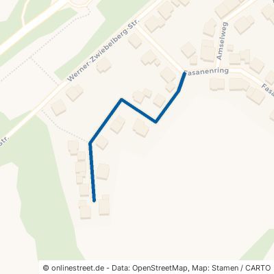 Nachtigallenweg Gemünden 