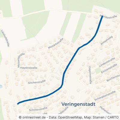 Goethestraße Veringenstadt 