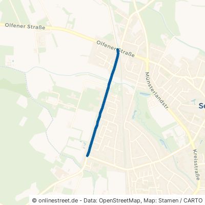Römerstraße 59379 Selm 