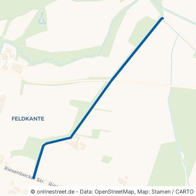 Feldkante 48432 Rheine Elte 