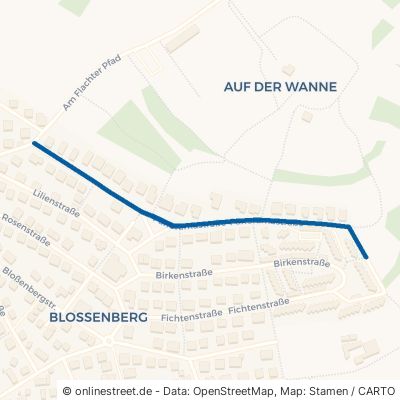 Panoramastraße Heimsheim 